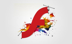 FLASH PRESENTATION DESIGN