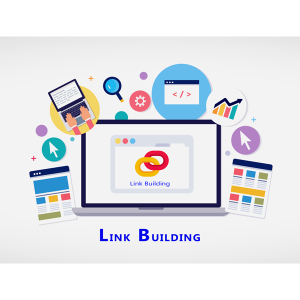 Link Building Packages
